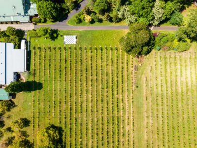 Gold Coast: Premium Wine Tour with Gourmet Lunch