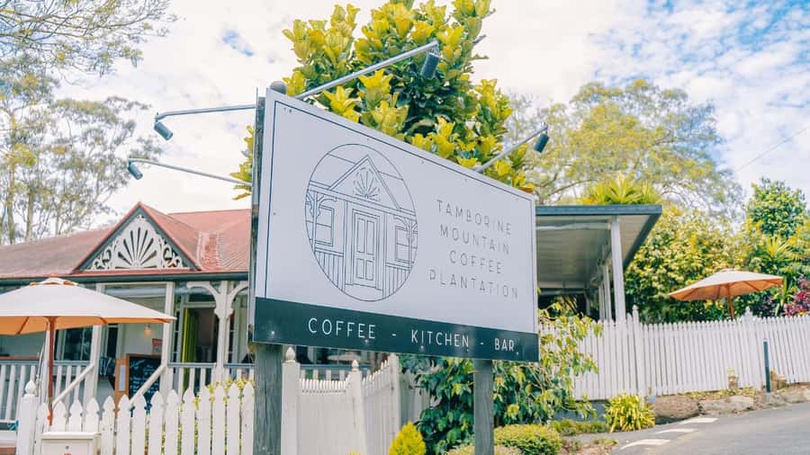 Gold Coast: Wine, Distillery & Rainforest Day Tour - Why Tamborine Mountain makes a good day out
