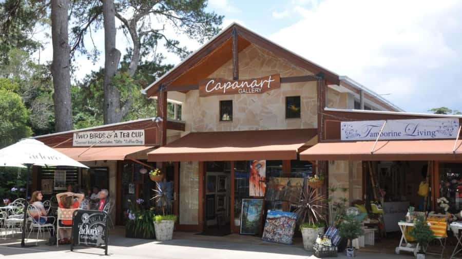 Gold Coast: Wine, Distillery & Rainforest Day Tour - A mountaintop lunch with wine tasting