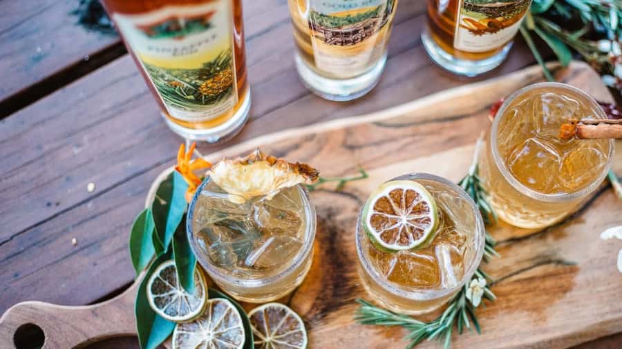 Gold Coast: Wine, Distillery & Rainforest Day Tour - Timing, meeting point, and practical preparation