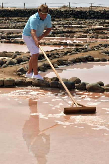Gran Canaria: Food Tour with Distillery Visit & Lunch - Who will get the most from this tour