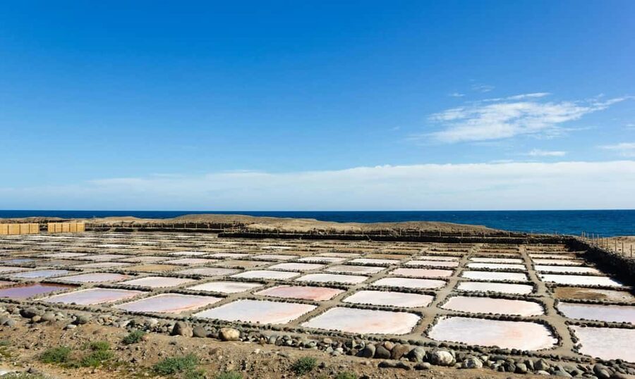 Gran Canaria: Food Tour with Distillery Visit & Lunch - Salinas de Tenefé and the taste of sea salt