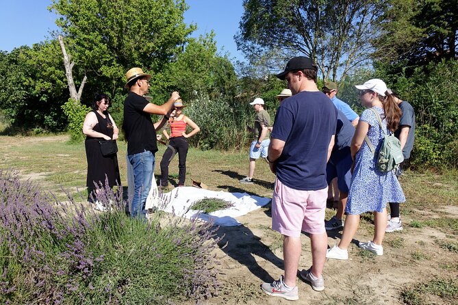 Guided tour Distillery of Lavender between Nîmes & Arles - Is $9.65 good value?