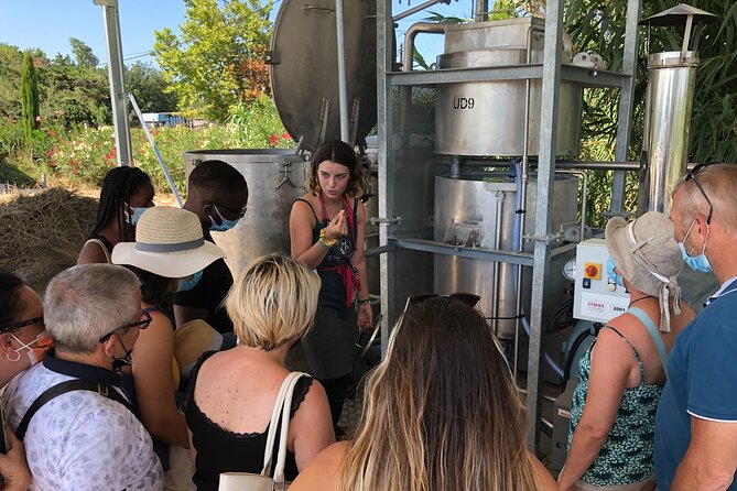 Guided tour Distillery of Lavender between Nîmes & Arles - Weather and cancellation details