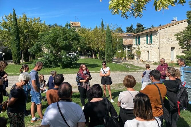 Guided tour Distillery of Lavender between Nîmes & Arles - What you see in the fields