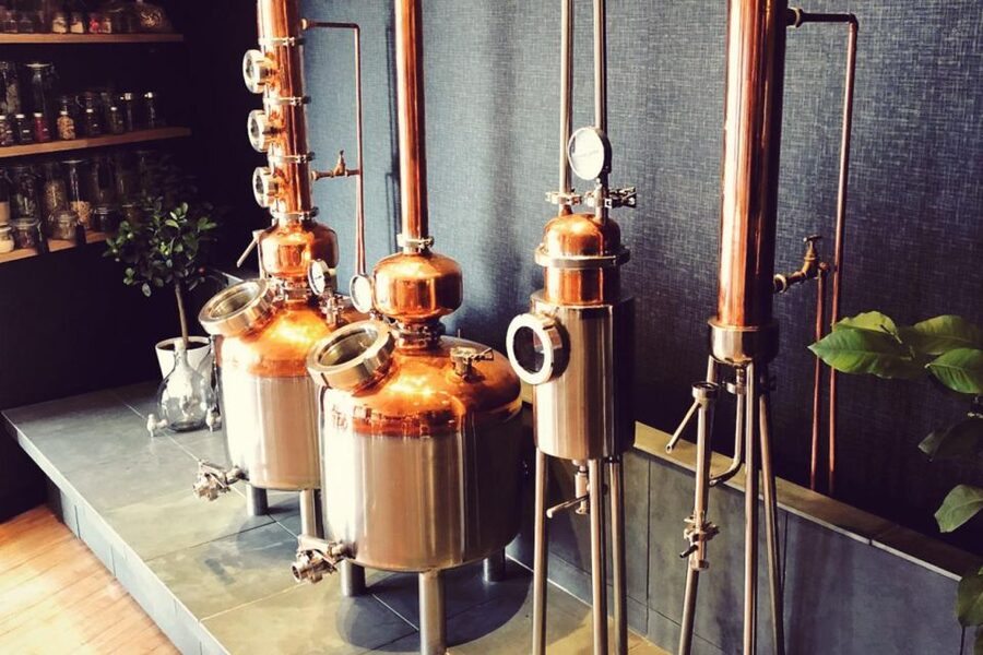 Haggis paired with whisky & gins in 56 North distillery! - Key points to know before booking