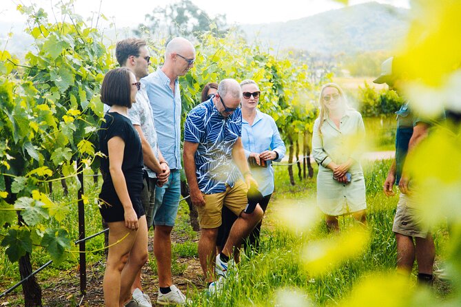 Hunter Valley Wine Tour ex Hunter Valley - Lunch, Cheese, Chocolate, Distillery - Why this Hunter Valley day works well