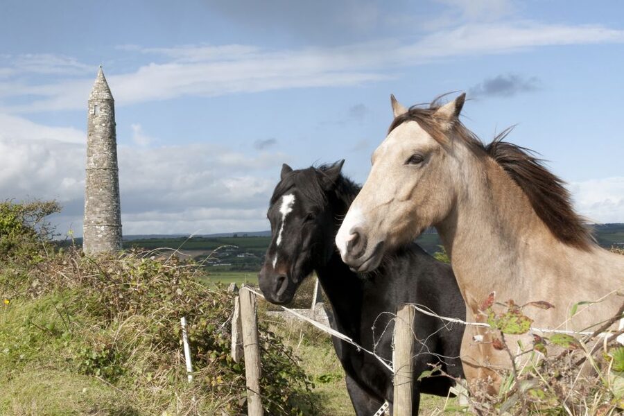Ireland: Blarney Castle, Kilkenny & Irish Whiskey 3-Day Tour - What the $788 price really covers