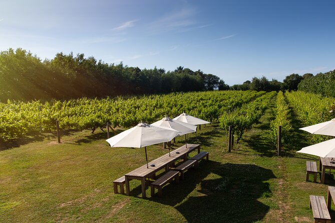 Jersey Premium Vineyard and Distillery Wine Tour and Tasting - Seeing the Cognac-style distillery