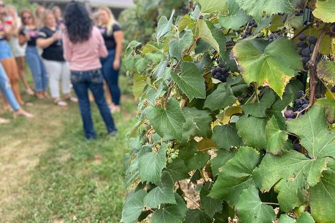 Kansas City Brewery, Winery, and Distillery Tour - The distillery stop: the strongest finish for many people