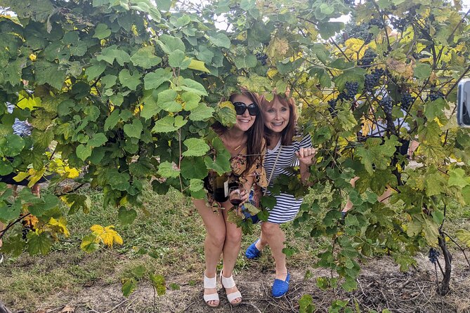 Kansas City Brewery, Winery, and Distillery Tour - Who should book this tour?