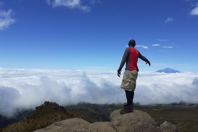 KILIMANJARO MACHAME ROUTE, (Climb 7days) "Whiskey" route - Day 7: Returning through rainforest to Mweka Gate