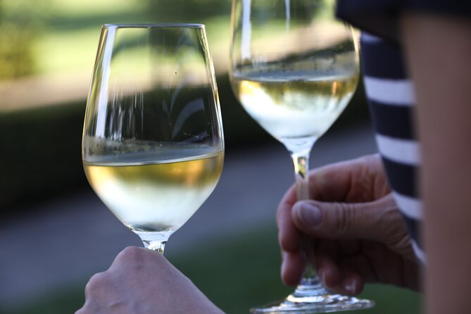 Knossos, Olive Grove, Winery - Distillery with Tastings & Lunch - Who will enjoy this tour most