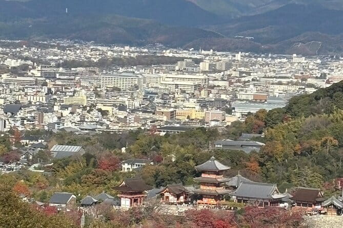 Kyoto 1 Day Suntory Yamazaki Distillery Tour and Asahi Art Museum - Who should book this Kyoto whisky and art outing?