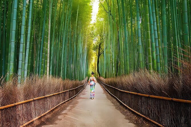 Kyoto 1 Day Suntory Yamazaki Distillery Tour and Asahi Art Museum - FAQ