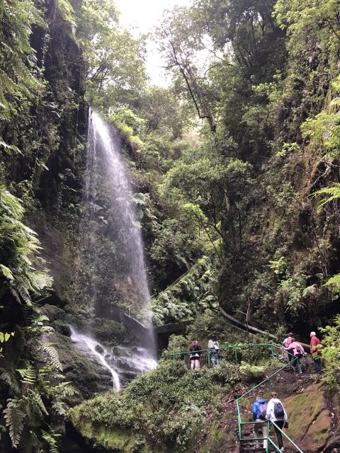 La Palma: North Island Bus Tour with Ron Aldea Distillery - Why La Palma’s north makes a good full-day outing