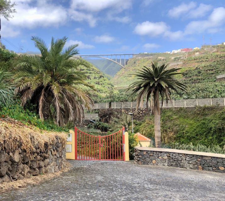 La Palma: North Island Bus Tour with Ron Aldea Distillery - Mirador de la Montaña and the view from ridge to coast
