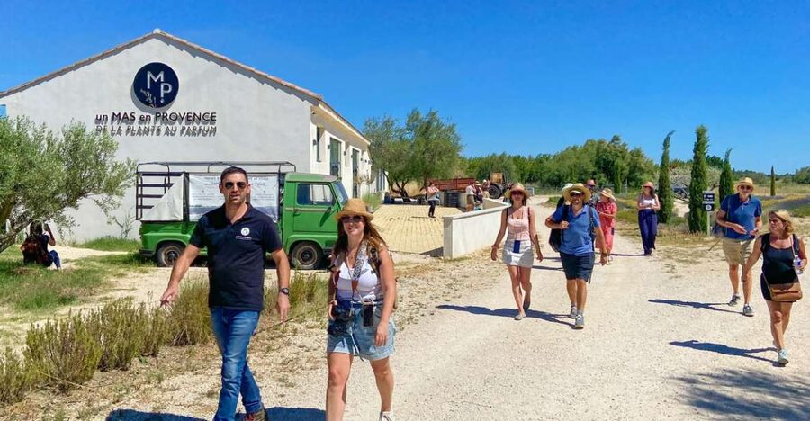 Lavender Field & Distillery Tour between Nimes & Arles - Key points to know before you go