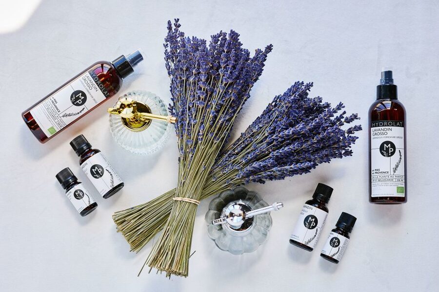 Lavender Field & Distillery Tour between Nimes & Arles - A working lavender farm, not just a photo stop