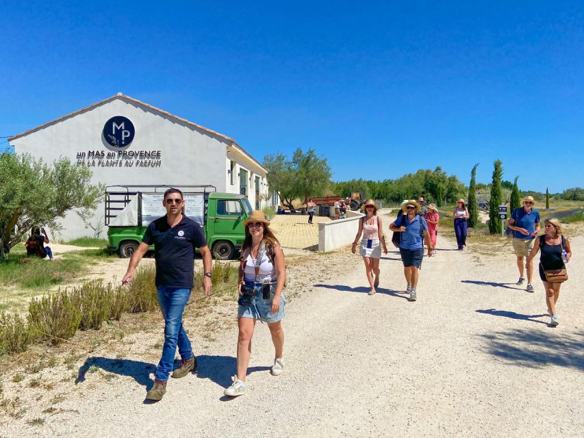 Lavender Field & Distillery Tour between Nimes & Arles - Around the still, where flowers become oil