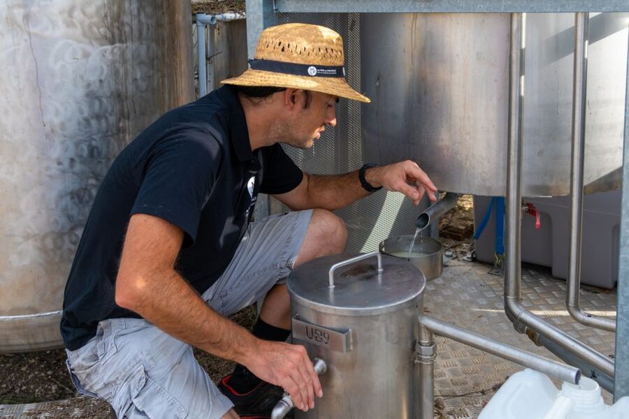 Lavender Field & Distillery Tour between Nimes & Arles - The perfume bar makes the lesson hands-on