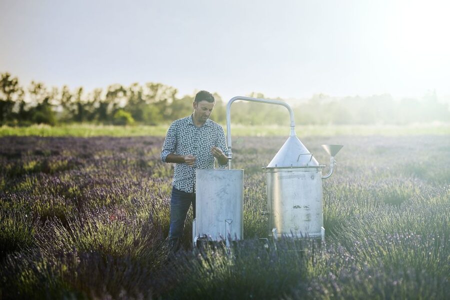 Lavender Field & Distillery Tour between Nimes & Arles - How long the visit takes and who will enjoy it