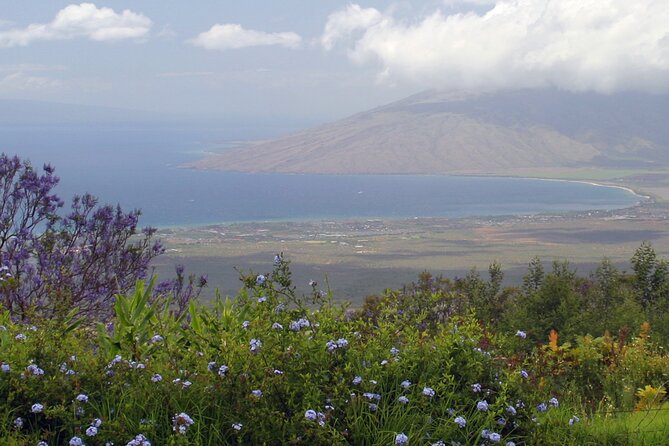 Maui Farm Distillery and local craft experience Full-Day Tour - Surfing Goat Dairy starts the day with a little comedy
