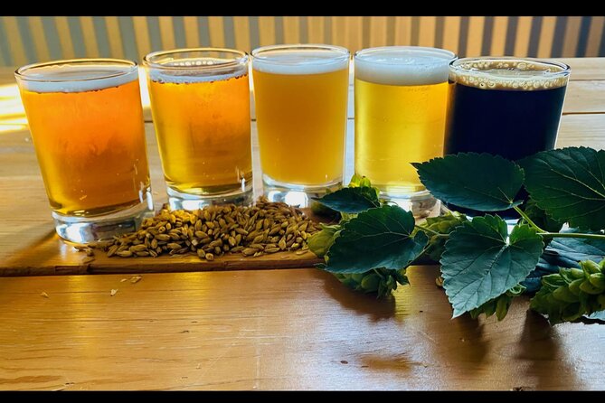 NON BUS MOVIE STARS Traverse City Brewery And Distillery Tour - Silver Spruce Brewing Company: classic lagers and a broad beer list
