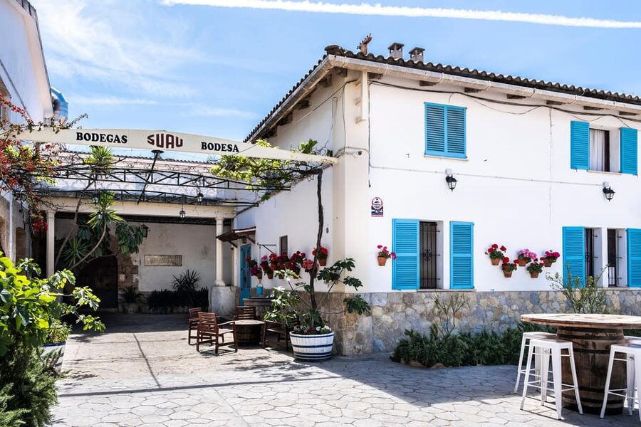 Palma: Distillery Tour with 3 Spirits and Tapas Tasting - The 15, 25, and 50-year tasting