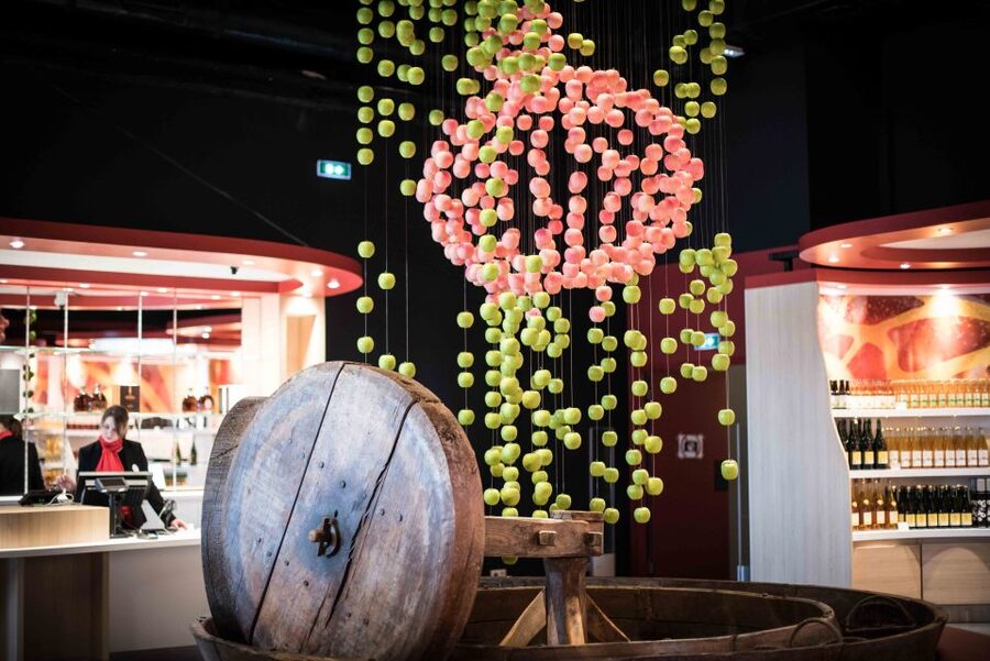 Pont-l'Évêque: DISTILLERIE PERE MAGLOIRE Entry with Tastings - From a Humble Apple to Calvados