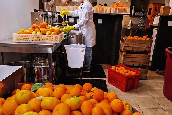 Private Distillery Day Tour - What happens at 9 Rue de la Turbie