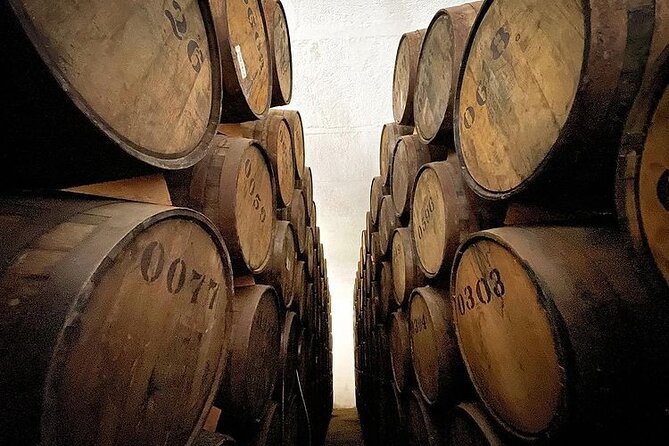 Private Tour one day in Guachimontones and La Fortaleza Distillery - Cantaritos El Güero in Amatitán