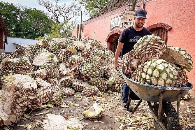 Private Tour one day in Guachimontones and La Fortaleza Distillery - Timing, availability, and small practical matters