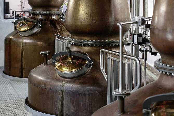 Private VIP Whiskey Tour from Dublin with Slane Castle Distillery - The guide makes the history easier to follow