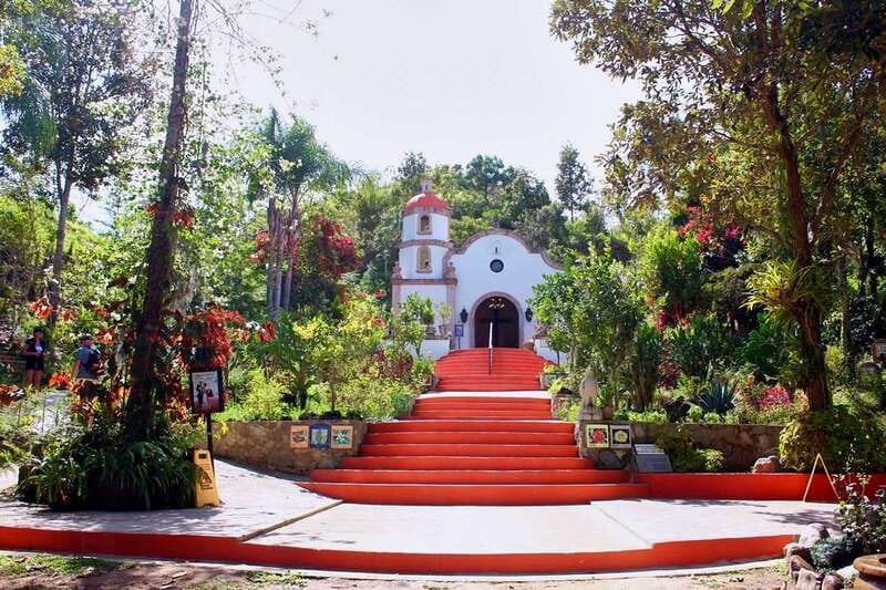 Puerto Vallarta: Botanical Gardens, Distillery & Coffee Tour - Key points at a glance