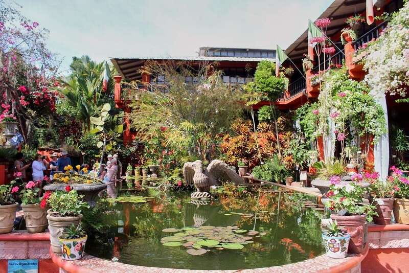 Puerto Vallarta: Botanical Gardens, Distillery & Coffee Tour - Walking the eight hectares of garden