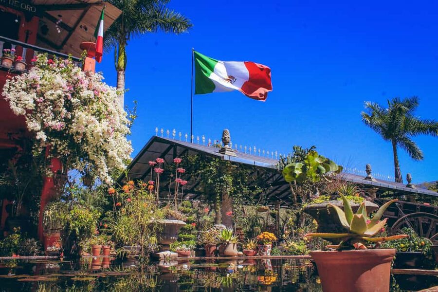 Puerto Vallarta: Botanical Gardens, Distillery & Coffee Tour - The organic coffee factory stop