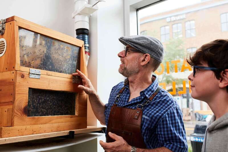 Quebec City: Honey and Distillery Tour with Tasting - From honey extraction to fermentation