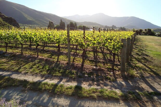 Queenstown Gin and Whiskey tours - Is $462 good value?