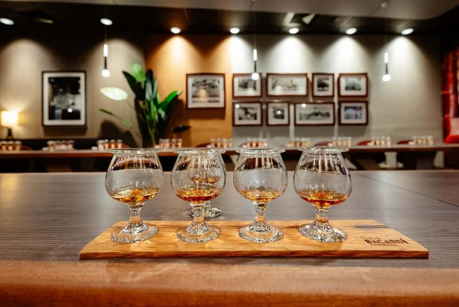 San Juan: Casa Bacardi Distillery Tour - Casa Bacardi at a glance