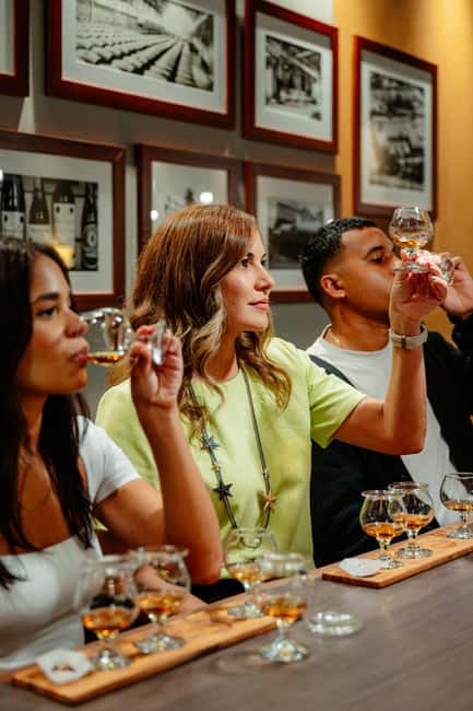 San Juan: Casa Bacardi Distillery Tour - What the Casa Bacardi visit is really like