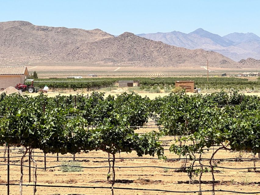 Scenic Desert Wine, Distillery Tastings/Brewery/RT66 & Lunch - Route 66 brings the day into focus