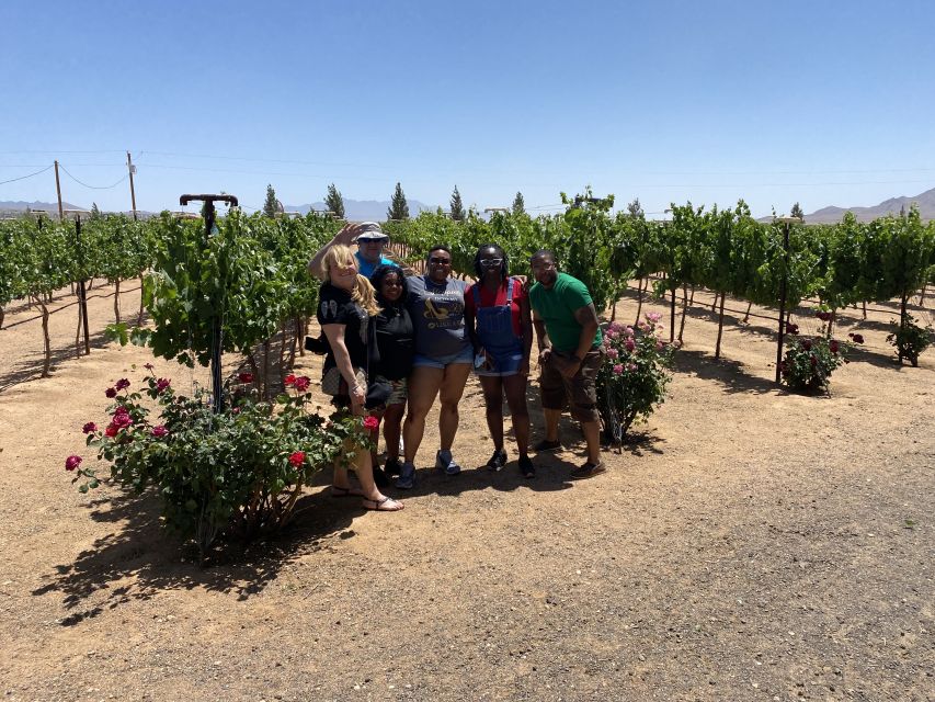 Scenic Desert Wine, Distillery Tastings/Brewery/RT66 & Lunch - Little Old Wine Drinkers Vineyard and the desert view