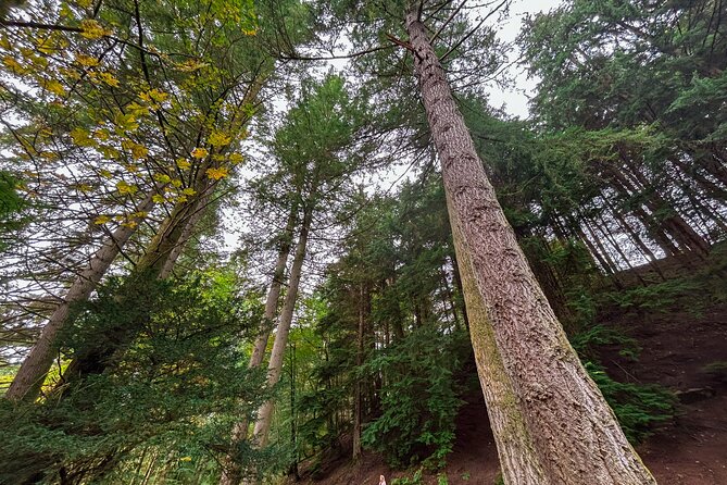 Scone Palace, Nature, Pitlochry, Whisky Experience from Glasgow - Doune Castle, Outlander, and Monty Python