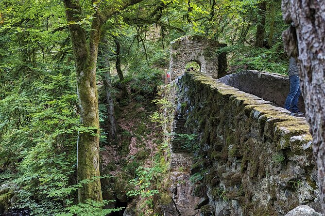 Scone Palace, Nature, Pitlochry, Whisky Experience from Glasgow - The Hermitage and Black Linn Falls