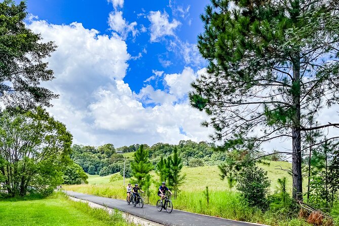 Self Guide E Bike Tour - Husk Distillery, Rainforest & Rail Trail - Why this ride works so well
