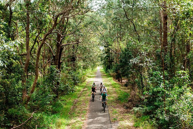 Self Guide E Bike Tour - Husk Distillery, Rainforest & Rail Trail - Burringbar, the best village stop
