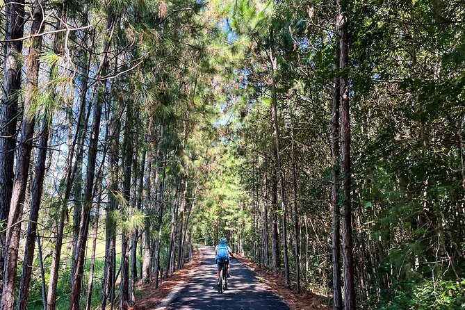Self Guide E Bike Tour - Husk Distillery, Rainforest & Rail Trail - Stokers Siding, Dunbible and the old railway line