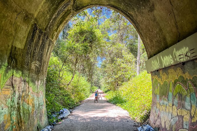 Self Guide E Bike Tour - Husk Distillery, Rainforest & Rail Trail - A cultural detour to the Tweed Regional Gallery