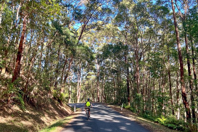 Self Guide E Bike Tour - Husk Distillery, Rainforest & Rail Trail - Murwillumbah marks the end of the rail trail